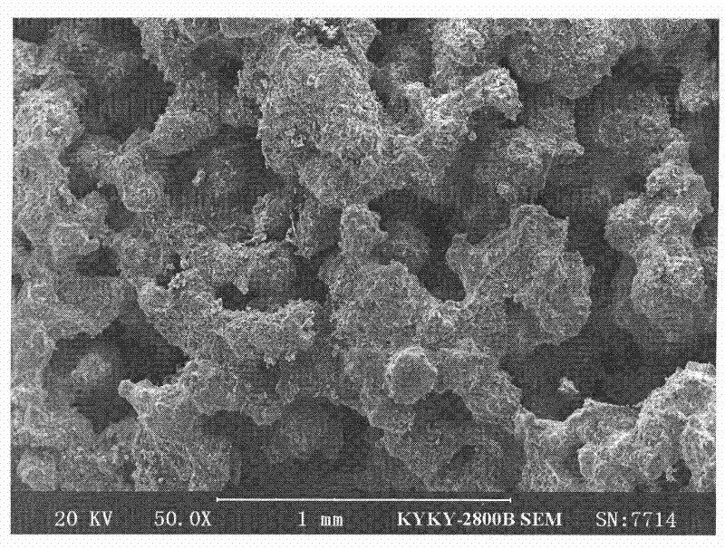 Porous NiAl/Al2TiO5 composite material and preparation method thereof