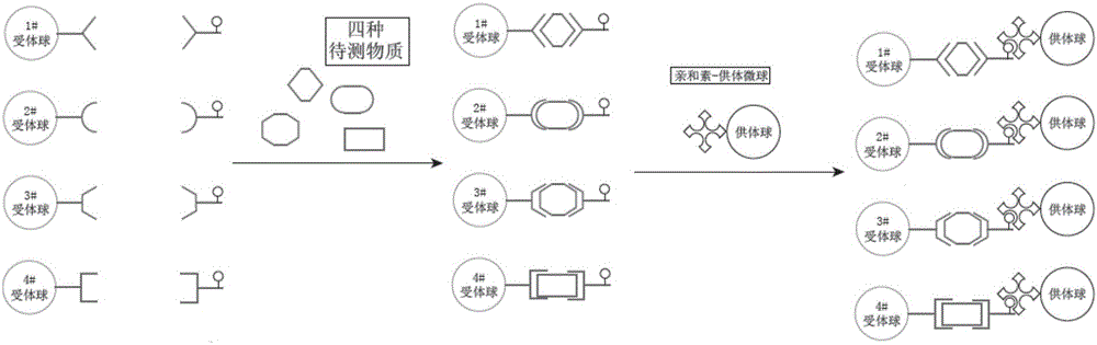 Homogeneous luminescent immunoassay method for simultaneous quantitative analysis of multiple components and kit used therefor