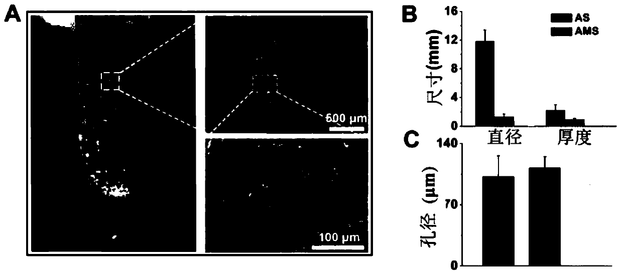 Fabrication method of porous micro-scaffold and its application in tissue regeneration and repair