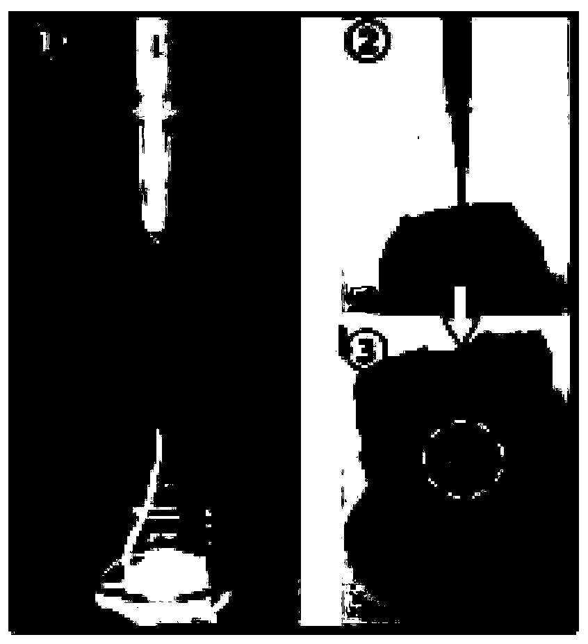 Fabrication method of porous micro-scaffold and its application in tissue regeneration and repair