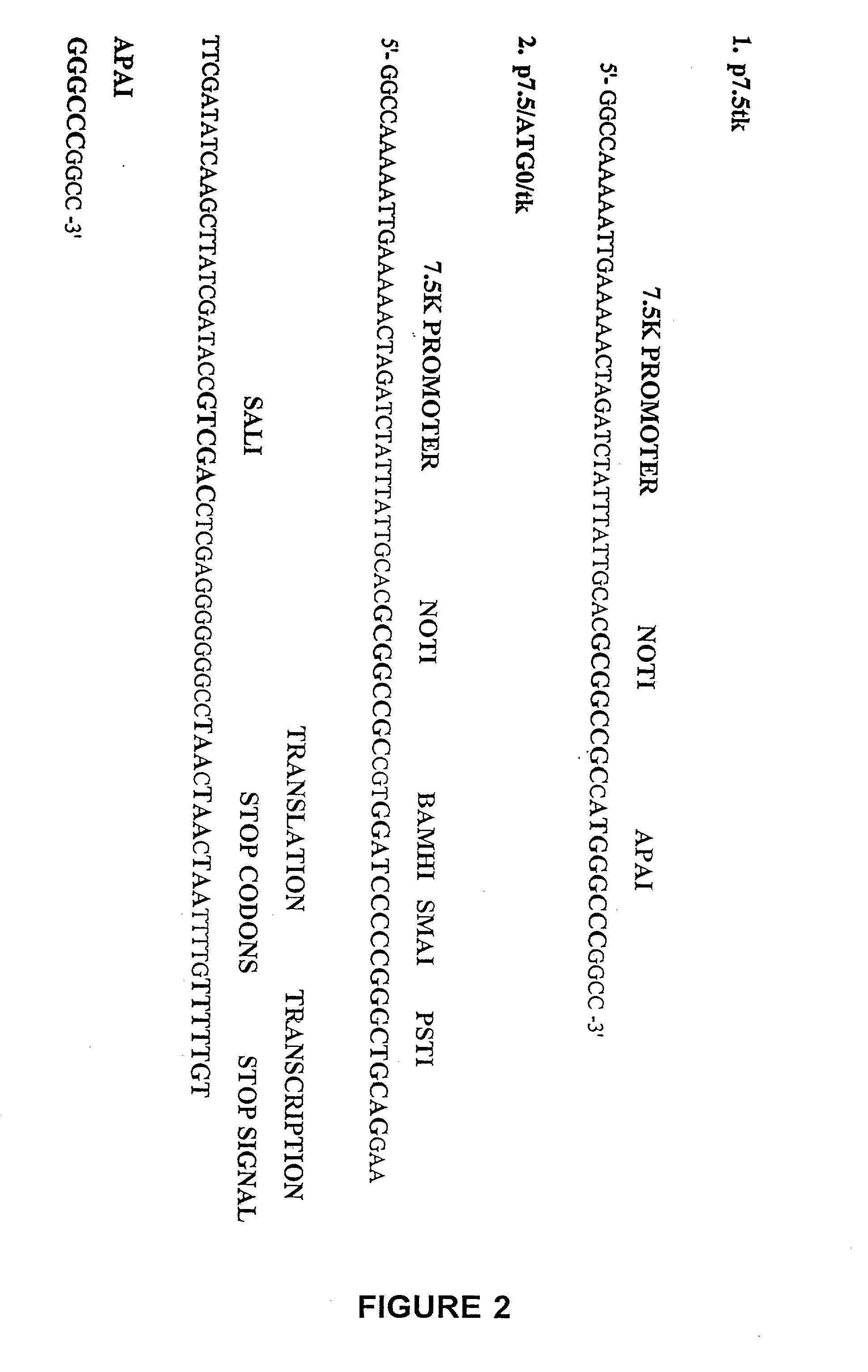 T cells specific for target antigens and methods and vaccines based thereon