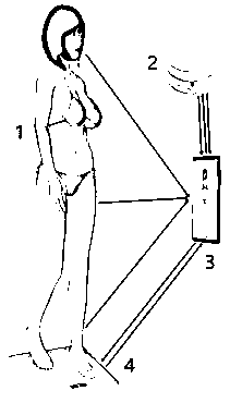 Body fat evaluation system and method based on deep learning technology