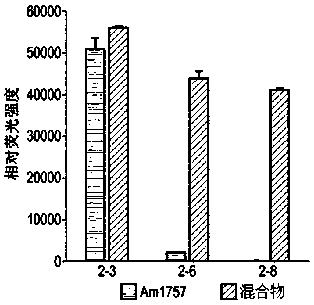 Enzymes for glycan analysis