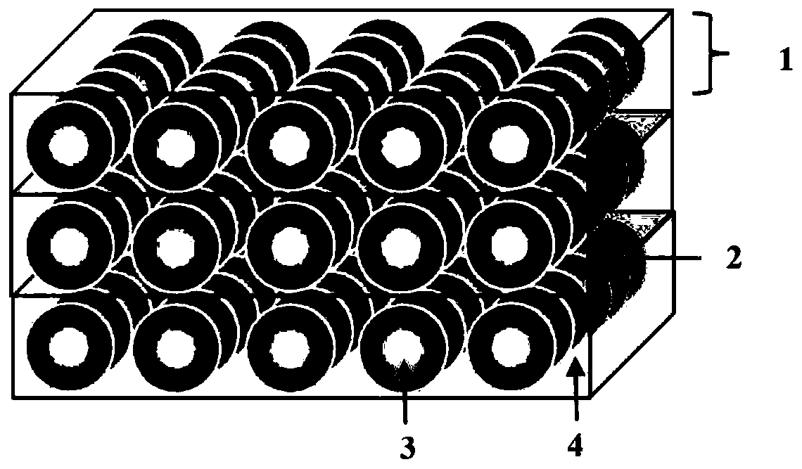 Magnetic nanoparticle composite film and preparation method thereof