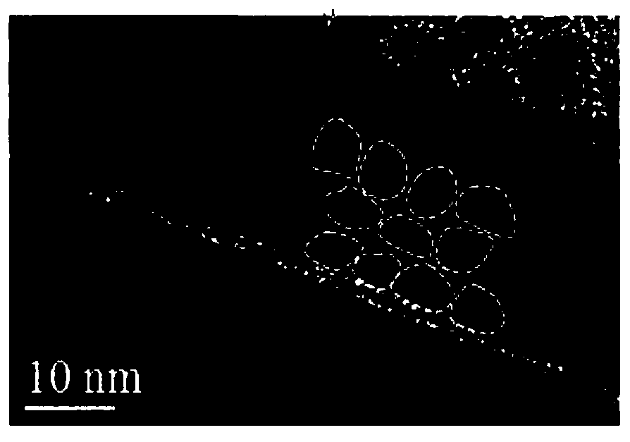 Magnetic nanoparticle composite film and preparation method thereof