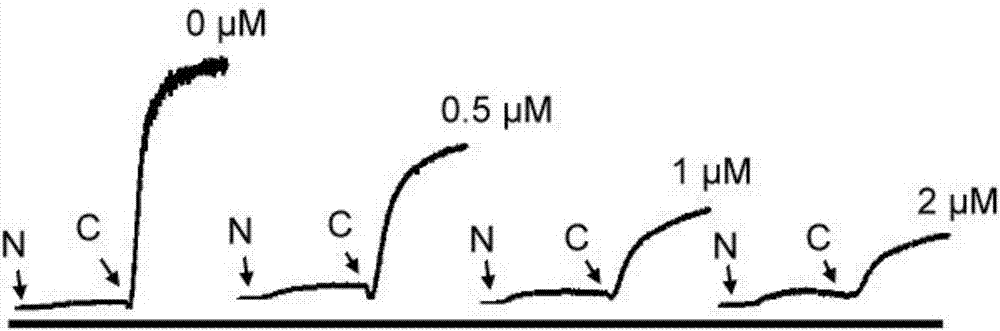 Niclosamide and applicaiton of niclosamide derivatives