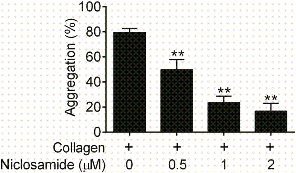 Niclosamide and applicaiton of niclosamide derivatives