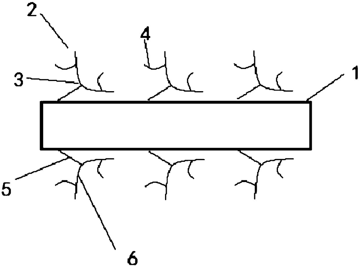 Outer curve finned tube and manufacturing method thereof