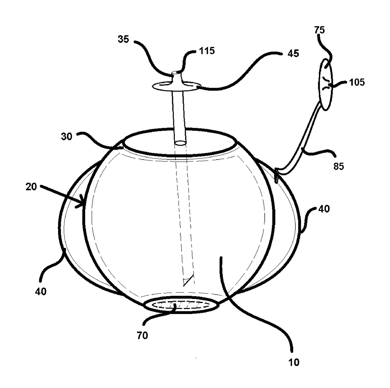 Natural Drinking Training Apparatus and Training System Facilitating Normal Development of Oral Postures, Oral Movements, and Jaw/Mouth Anatomy