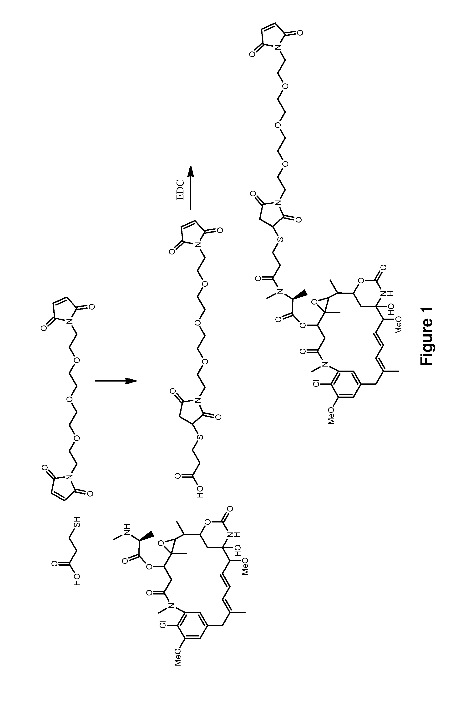 Methods for the acylation of maytansinol