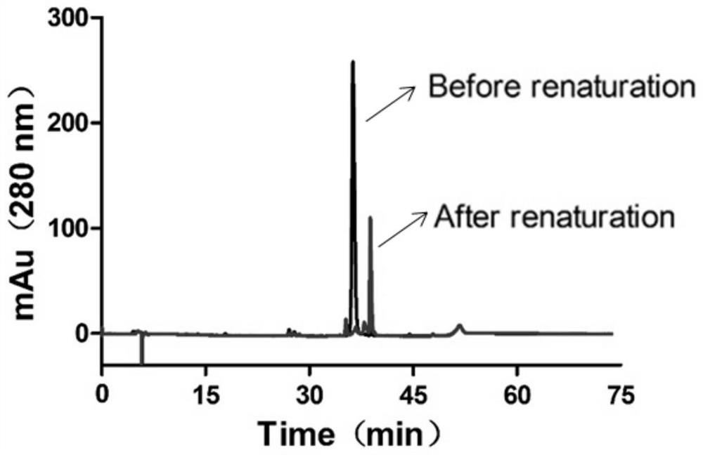 Preparation method for pure solid-phase synthesis of salmon calcitonin