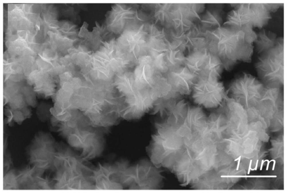 A direct z-type heterojunction photocatalyst that can be used to split water and its preparation method