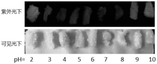 Cellulose foam capable of visually identifying and removing chromium as well as preparation method thereof and chromium removal method