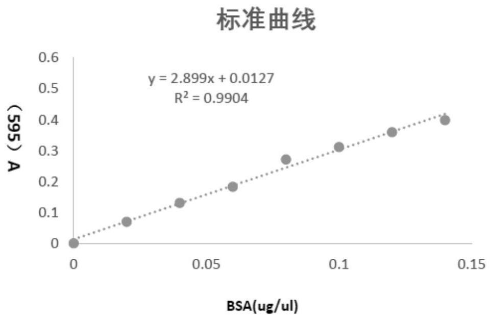 A Method for Accelerating Post-mortem Maturity of Beef Cattle