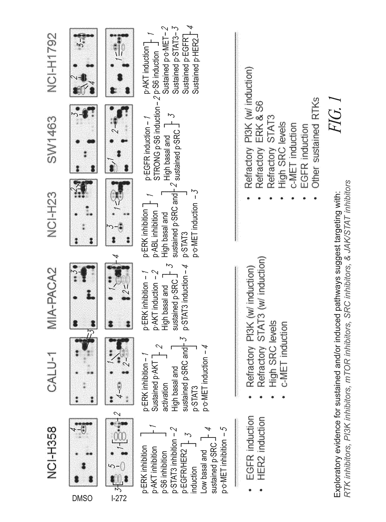 Combination therapies for treatment of cancer