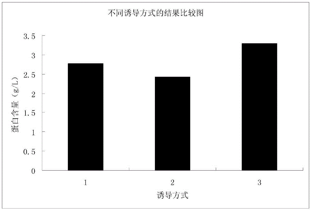 Collagen phased mixing, induction and fermentation method