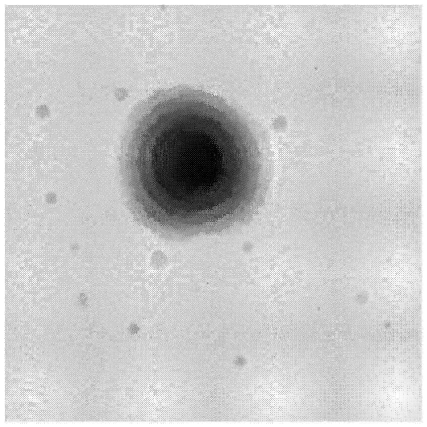 A kind of core-shell type long-acting antibacterial emulsion and preparation method thereof