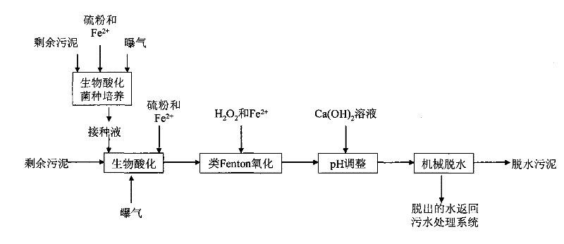 A method for combining biological acidification and fenton-like oxidation to improve the dewatering performance of excess sludge