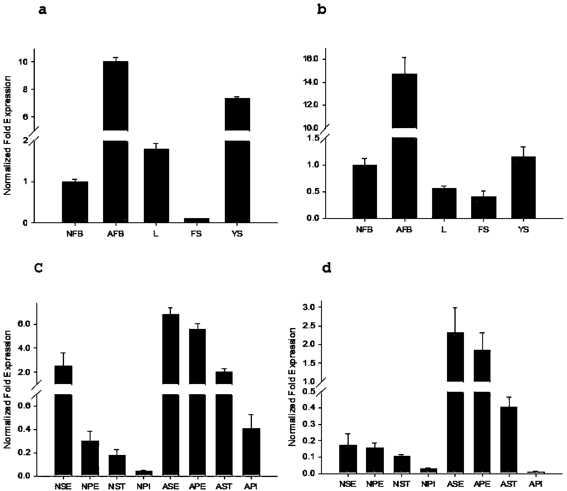 Vacuolar processing enzyme gene RsVPE1 related to abortion of radish flower bud