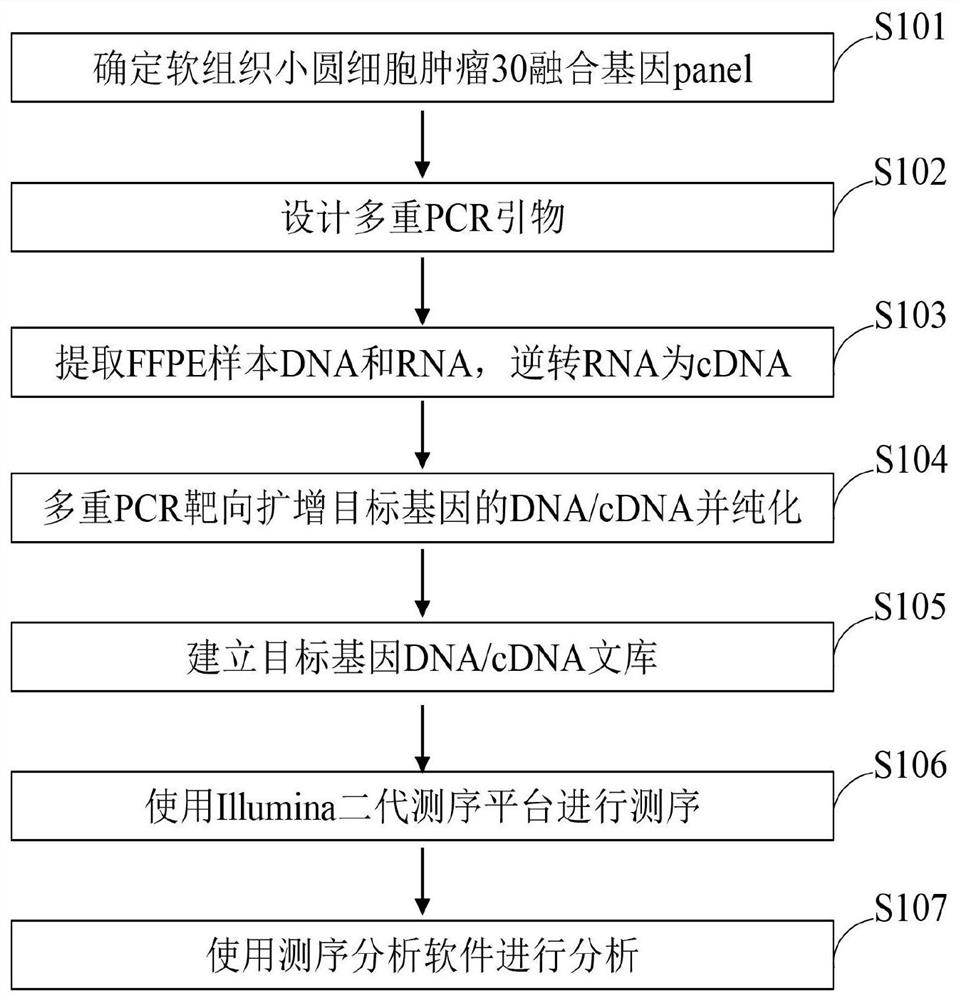 Design kit for targeted detection of small round cell tumor fusion gene panel of soft tissue tumor