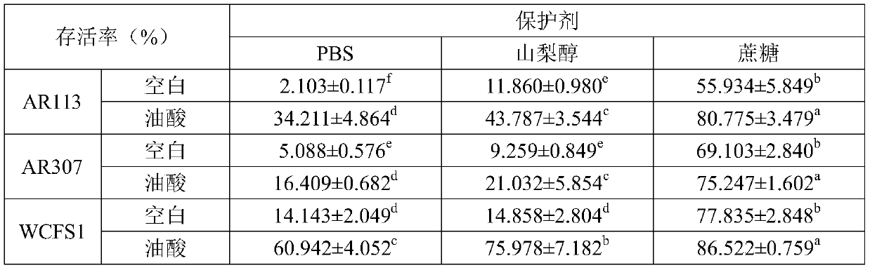 Freeze drying method for improving survival rate of lactobacillus plantarum