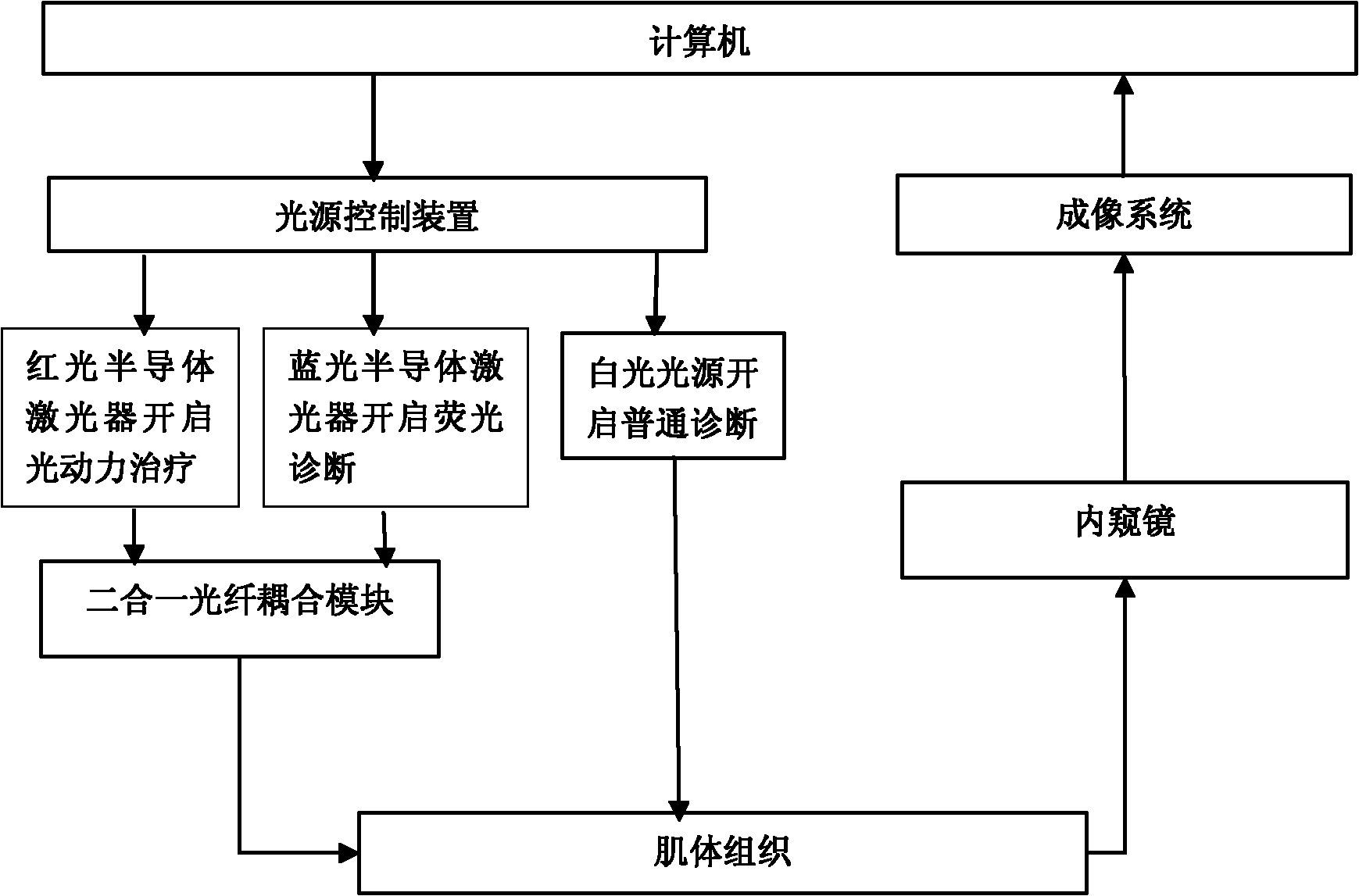 Multifunctional fluorescence diagnosis and photodynamic therapy endoscopic diagnosis and treatment system