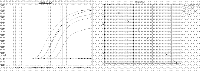 General real-time fluorescent RT (Reverse Transcription)-PCR (Polymerase Chain Reaction) method and kit for detecting porcine reproductive and respiratory syndrome virus