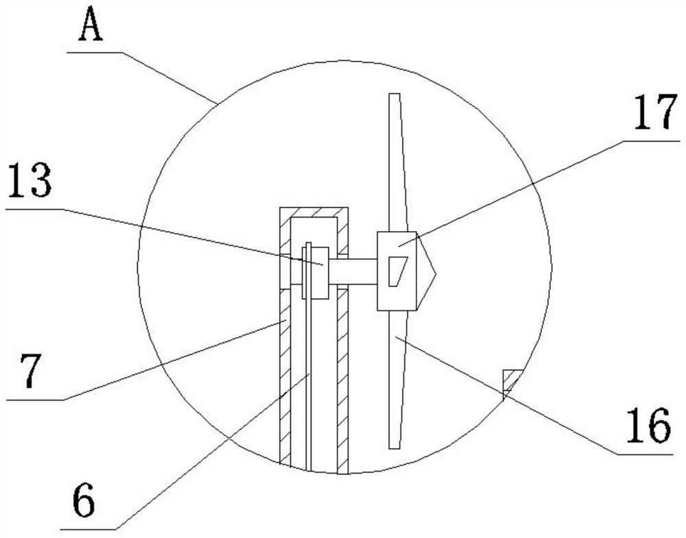 Protective structure of exhaust branch pipe below automobile chassis