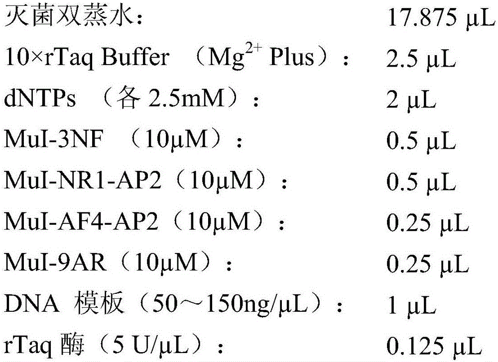 Citrin immunodeficiency disease pathogenic gene SLC25A13 high-frequency I-type mutation screening primers and kit