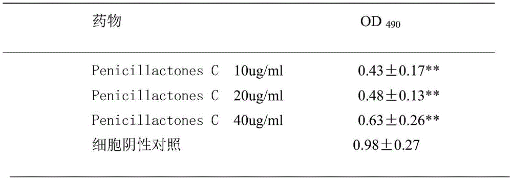 Application of Penicillactones C in preparation of drug for inhibiting liver fibroblast proliferation