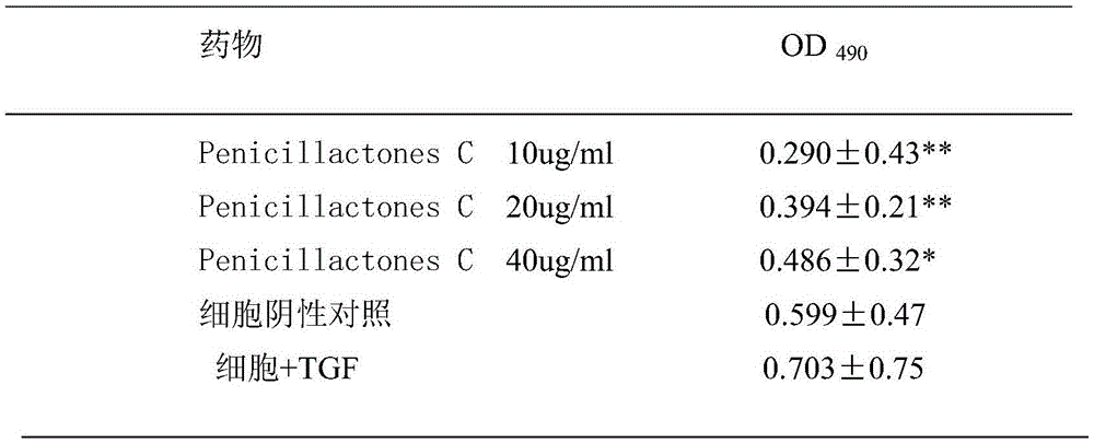 Application of Penicillactones C in preparation of drug for inhibiting liver fibroblast proliferation