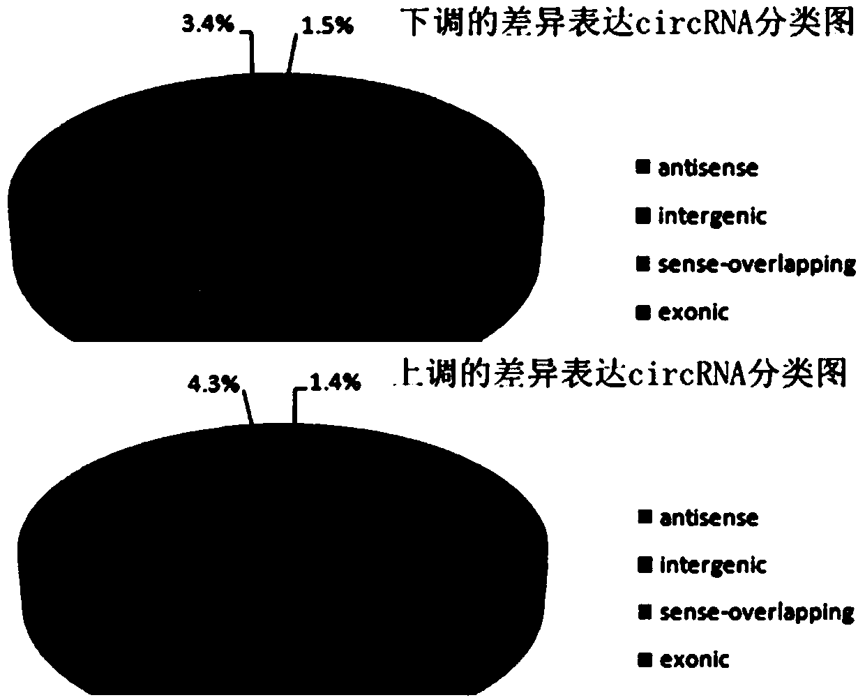 CircRNA_14707 and application thereof in molecular assistant breeding