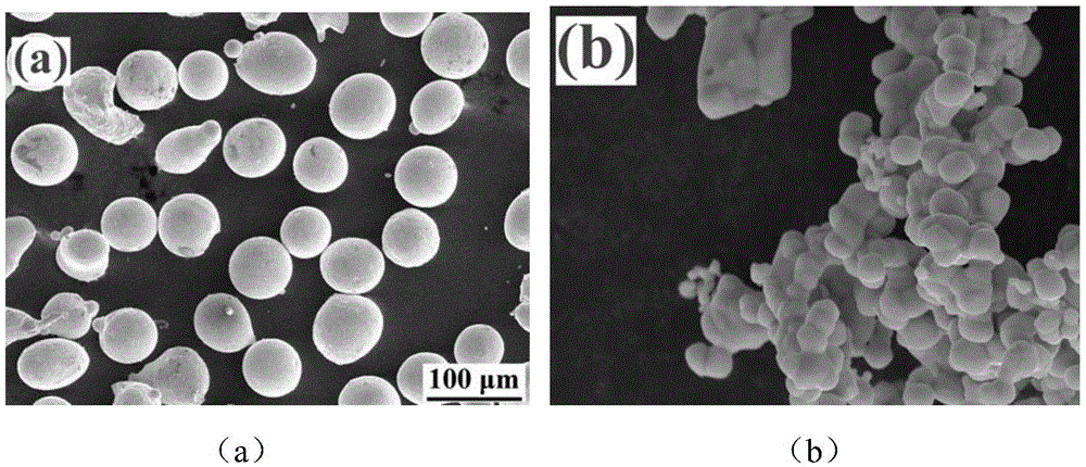 Thermal spraying self-bonding metal alloy powder with coated composite structure