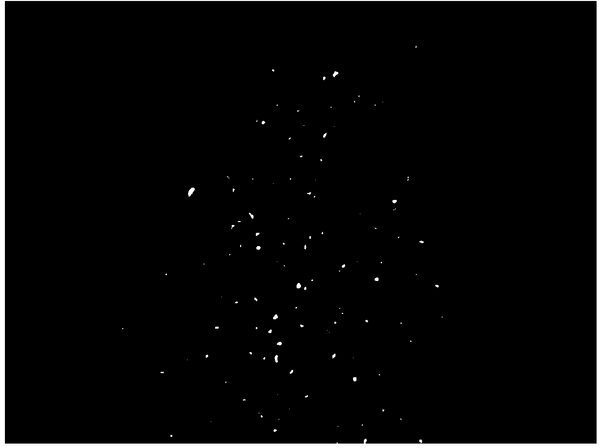 Method for preparing isotropic coke