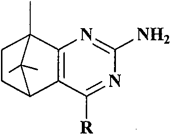 Synthesis and anti-tumor activity of camphoryl pyrimidines