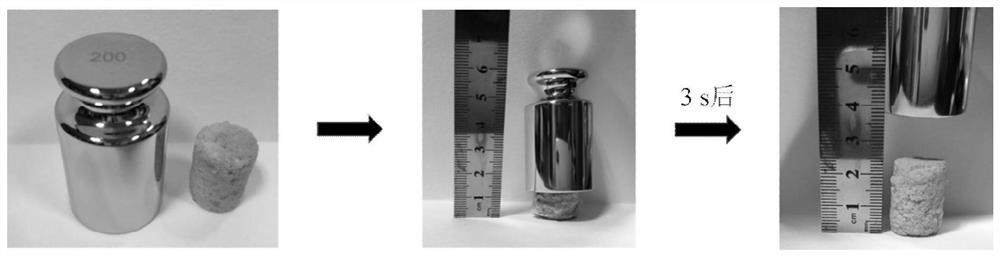 Preparation method of cellulose antibacterial material modified based on natural active component chlorogenic acid