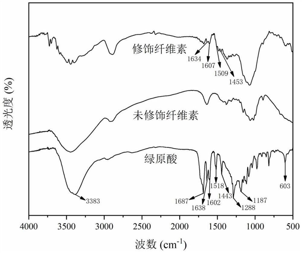 Preparation method of cellulose antibacterial material modified based on natural active component chlorogenic acid