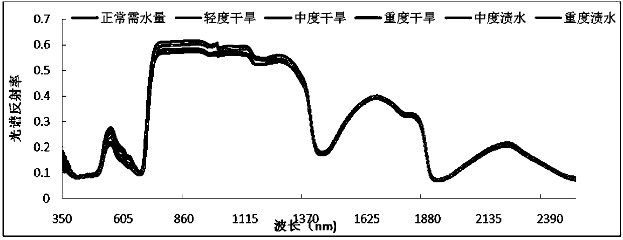 Monitoring method of tobacco leaf equivalent water thickness based on hyperspectral remote sensing