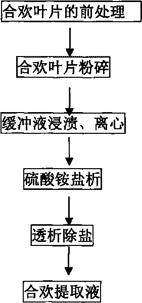 Albizzia julibrissin extracting solution and application thereof