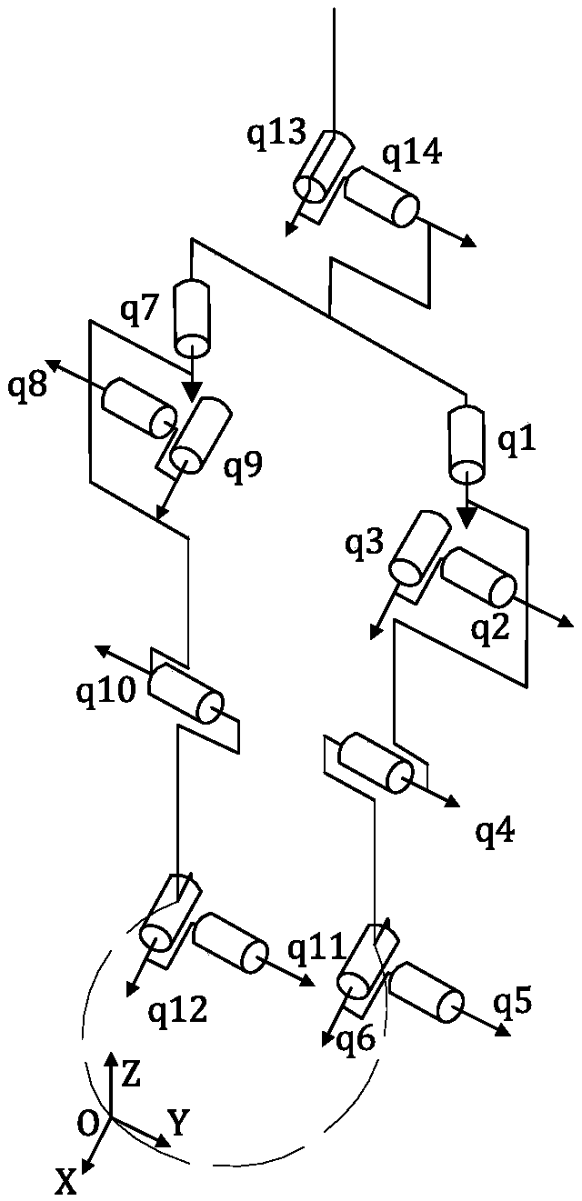 Biped robot design containing waist structure and feedback control method