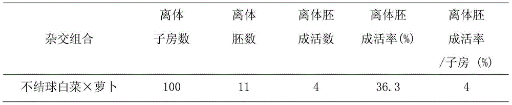 Novel germplasm creating method by distant hybridization of Brassica campestris ssp. chinensis Makino and Raphanus sativus