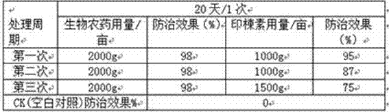 Biological pesticide for controlling Bradysia odoriphaga, and production method thereof