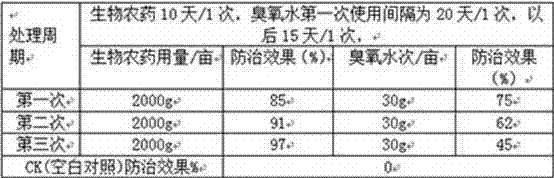 Biological pesticide for controlling Bradysia odoriphaga, and production method thereof