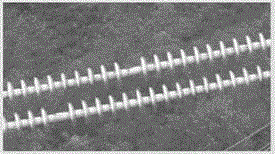 Method for recognizing insulator image on the basis of Canny edge detection algorithm