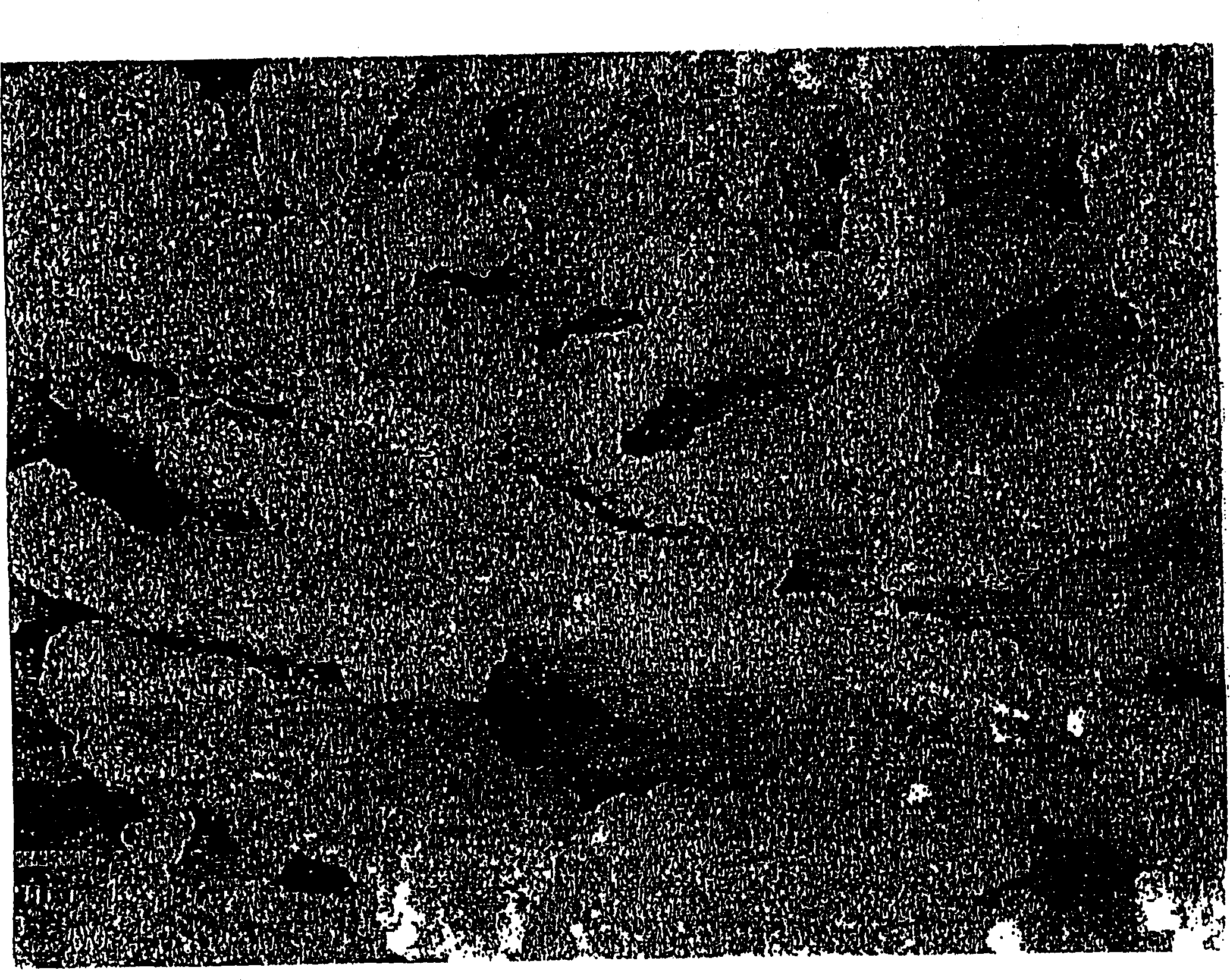 Structurally enhanced cracking catalysts