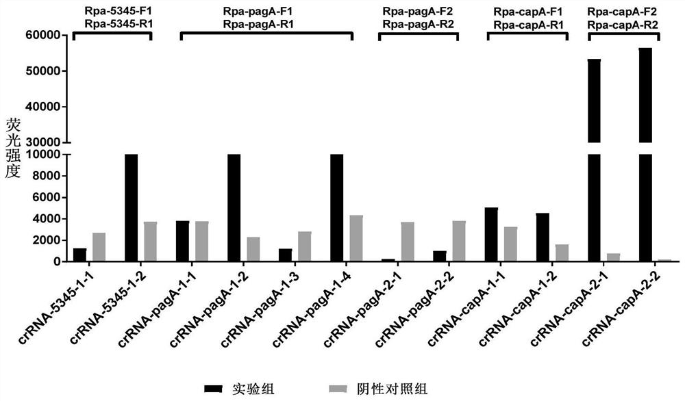 Method for detecting bacillus anthracis by combining RPA with CRISPR technology and complete set of reagents