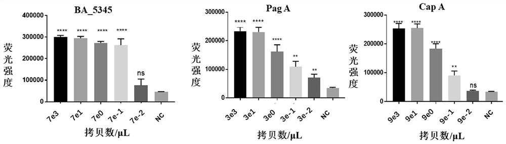 Method for detecting bacillus anthracis by combining RPA with CRISPR technology and complete set of reagents