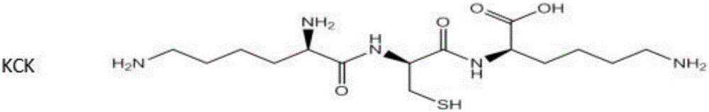 KCK polypeptide modified gold nanocluster and preparation method thereof