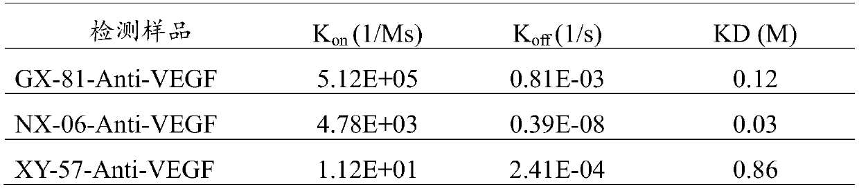 A kind of high-efficiency and fast-binding vegf antibody and its use