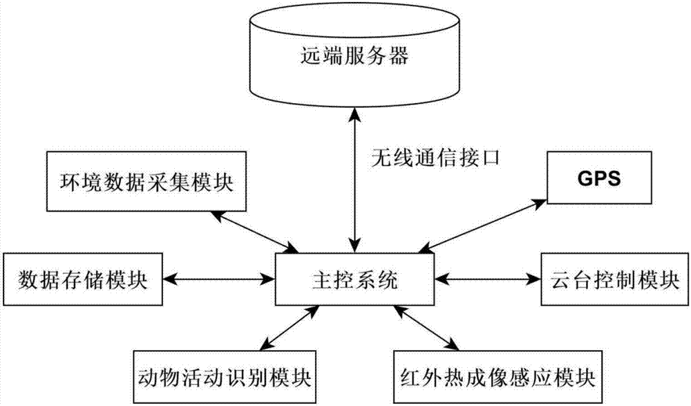 Animal activity tracking system based on infrared thermal imaging